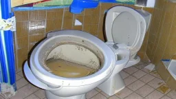 toilet clogged and overflowing at the budget inn