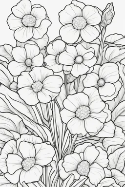 flowers coloring page for kids, primrose, cartoon style, thick outline, low details, no shading, no color