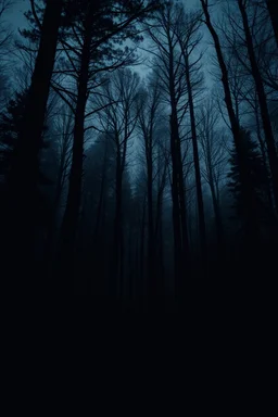 dark forest