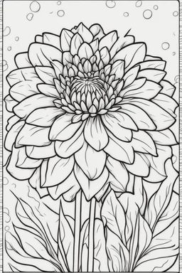 flowers coloring page for kids, dahlia, cartoon style, thick outline, low details, no shading, no color