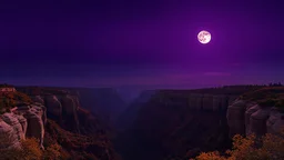 deep purple night sky over canyon, full moon, Autumn, 8k, high quality, trending art, trending on artstation, sharp focus, studio photo, intricate details, highly detailed, by greg rutkowski