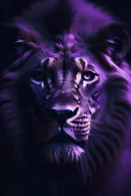 Retrato em 4k, leão tenebroso, com tons de violeta