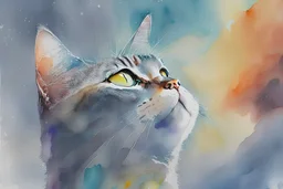 Portrait d'un chat regardant vers le ciel, aquarelle, style art figuratif abstrait. couleurs vives nuances de gris, très réaliste, très précis.