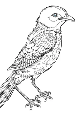 outline art for Birds coloring pages with sitch, white background, Sketch style, full body, only use outline, dementia patients style, clean line art, white background, no shadows and clear and well outlined.