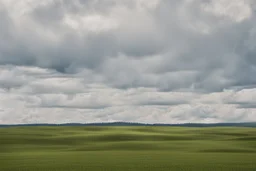 fields and forest and grassy flatlands