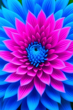 pink and blue dahlia flower as a quantum wavetrace