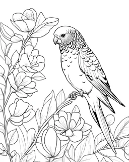 B/W outline art,coloring book page, full white, super detailed illustration for adult,"Budgie love", crisp line, line art, high resolution,cartoon style, smooth, low details, no shading, no fill, white background, clean line art,low background details, Sketch style.