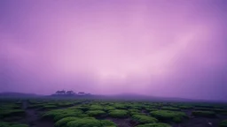 The sky is a bleached violet with light smoke. Below, the desolate mesa is covered with lush moss. In the distance, there are cottages.