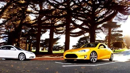 A Tesla's 'Model S Plaid' is doing donuts, within the 'Golden Gate Park', in San Francisco. CINEMATIC. WIDE ANGLE LENS. PHOTO REAL.