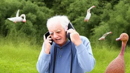 a very confused old man talks on phone while chasing ducks away,