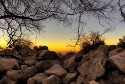 Rocks, sunset, branches