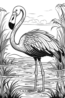 Flamingo Coloring, cartoon style, thick lines, low detail, black and white, no shading, wide shot