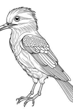 outline art for Birds coloring pages with sitch, white background, Sketch style, full body, only use outline, dementia patients style, clean line art, white background, no shadows and clear and well outlined.