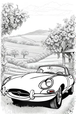 outline art for an adults coloring page, Vintage Jaguar E-Type Parked at a Vineyard , white background, sketch style,no color , only use outline, clean art , easy to color, white background, no shadows and clear well outlined