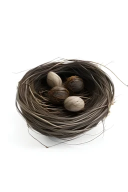 A simple nest with 5 nest