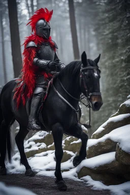 portrait of black knight using a prism as armor, on horse with red feather on stone bridge in mountain pass in snowy forest,shot on Hasselblad h6d-400c, zeiss prime lens, bokeh like f/0.8, tilt-shift lens 8k, high detail, smooth render, down-light, unreal engine, prize winning