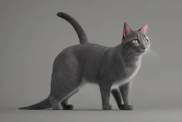 gray cat standing and pointing