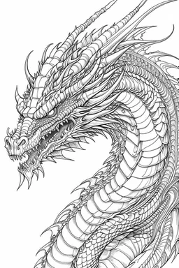 coloring image of dragon, line art, realistic, white background