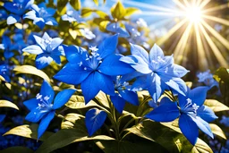 blue or gold light effects colors, a lovely garden with plumbago flowers, clear sunny light, highly detailed, luminous rays of the sun, blue leadwort flowers, plumbago of the cape, seaside, high contrast, 8k, high definition, realistic, concept art, sharp focus