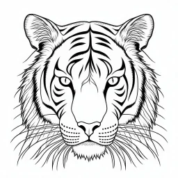 tiger, animal, full view, realistic face, coloring page, only draw lines, coloring book, clean line art, –no sketch, color, –ar 3:4, white background, minimalistic black lines, minimal black color, low level black colors, coloring page, avoid thick black colors, thin black line art, avoid colors, perfect shape, perfect clear lines,