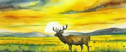 an Elk in a prairie canola field, sunset sky, detailed watercolor