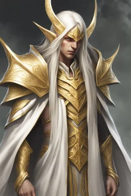 High elf wizard wearing gold hemed white cloak