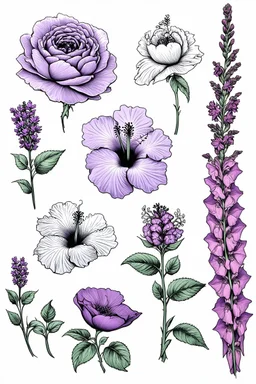Stylized, peony, rose, lilac, hibiscus, lavender, poppy, and snapdragon Flowers outlined with various thicknesses of Graphite Pencils filled in with pastel PItt Pencils