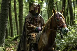 hooded monk on horseback in the forest