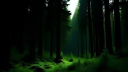 зелёный лес
