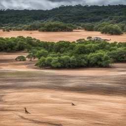 Lonely Dinosaurs, Taken in Glen Rose Texas at Dinosaur State Park