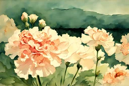 Carnation flowers, sunny day, winslow homer watercolor paintings