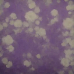 Alice purple fur, flowered wallpaper background, old autochrome