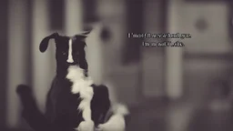 معلومة عالماشي