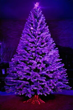 Sapin de Noël mauve, autochrome