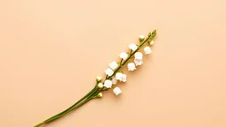 "A delicate and minimalist flat lay composition featuring sprigs of Lily of the Valley flowers laid out on a sheet of vintage, lined paper. The soft white flowers stand out against the warm, slightly textured background, creating a natural and rustic feel. The simplicity and elegance of the arrangement evoke a sense of calm and nostalgia, making this image ideal for use in stationery design, botanical projects, or as a subtle, nature-inspired background.