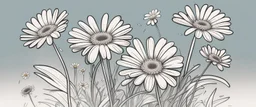 linework daisies, flowing in the wind, spring, simplified