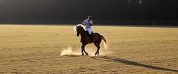 horse soccer erling haaland
