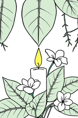 outline art for square Heart Candle Plumeria coloring page for kids, classic manga style, anime style, realistic modern cartoon style, white background, sketch style, only use outline, clean line art, no shadows, clear and well outlined