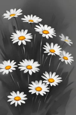 black and white line art of a daisy flowers
