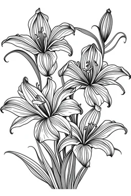 Outline art for coloring page, LILIES WITH STEMS, coloring page, white background, Sketch style, only use outline, clean line art, white background, no shadows, no shading, no color, clear