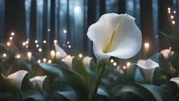 single white calla lily in pastel colored rose forest, trees, flowers, fairy lights, night, 8k, high quality, trending art, trending on artstation, sharp focus, studio photo, intricate details, highly detailed, by greg rutkowski