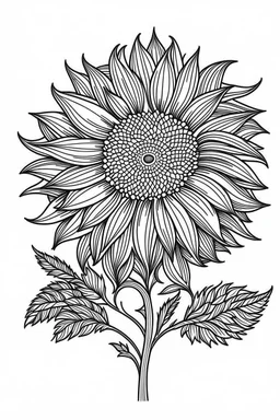 sunflower minimalistic, line art, background, vector, svg, coloring page, black outline on white background