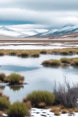 paisaje del sur argentino, con lago, día frio y nevado, incluyendo animales y plantas autóctonos.