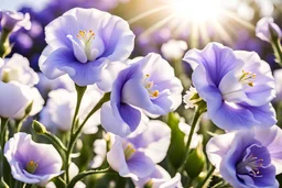 romantic garden with beautiful lisianthus, white or pale purple flowers, parma or blue light effects colors, sun, realistic, beautiful blooming trees in spring, lisianthus flowers, highly detailed, high contrast, 8k, high definition, concept art, sharp focus