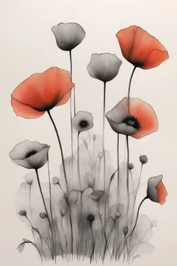 Minimalist ink color pencil and charcoal drawing of poppies