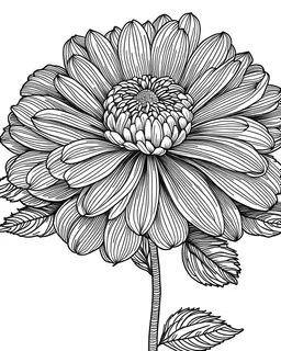 real massive only Zinnia flower, coloring page, no leaves, full body (((((white background))))), only use an outline., real style, line art, white color, clean line art, white background, Sketch style