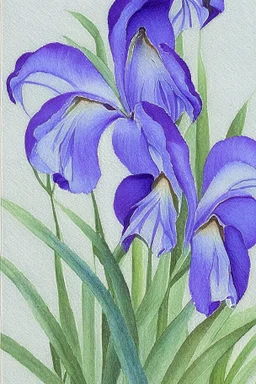 a painting of a blue iris by artist "Hiroshi Kobayashi"