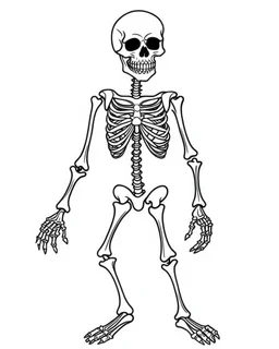 outline art for halloween coloring pages for kids with cartoon cute skeleton , white background, Sketch style, full body, only use outline, clean line art, white background, no shadows and clear and well outlined, coloring page for kids,