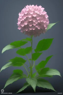 an isolated translucent hydrangea plant, 3d render, art nouveau style, ultra realistic, masked transparent flat background, backlight, popular on sketchfab, pixelsquid, 8k, volumetric lighting, super focused, no blur, trending on artstation, octane render, ultra detailed, hyperrealistic, by artgerm and alphonse mucha