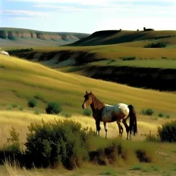 Nebraska 1997 Wild Horse Hill Photo